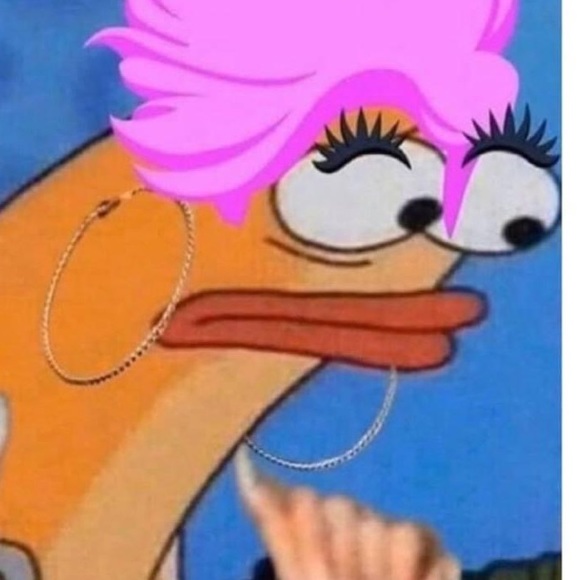 Meet your Posher, Maggie - Picture 1 of 1